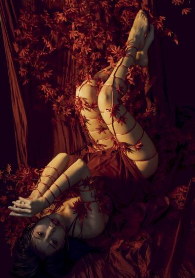 女女同性女同区二区毛片_1080在线观看电视
