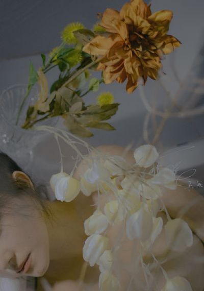 女性向av免费观看入口silk_超清高清在线